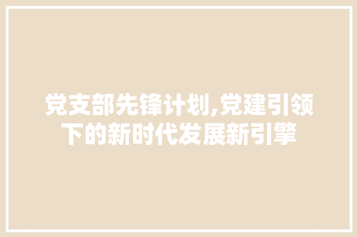 党支部先锋计划,党建引领下的新时代发展新引擎