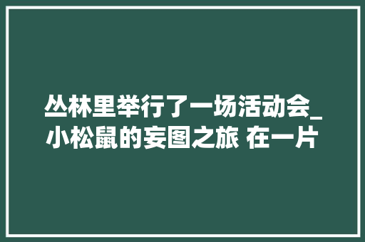 丛林里举行了一场活动会_小松鼠的妄图之旅 在一片茂密的森林中