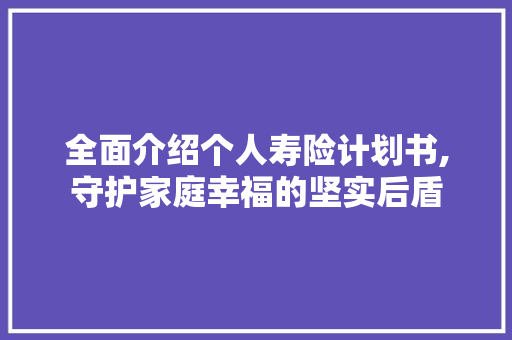 全面介绍个人寿险计划书,守护家庭幸福的坚实后盾