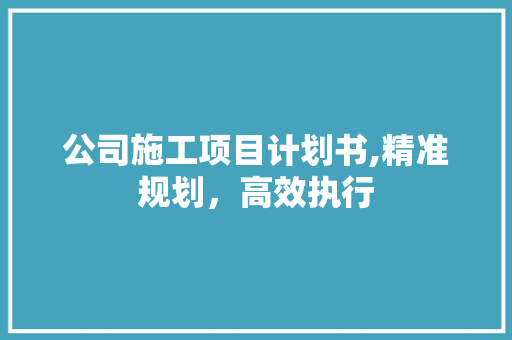 公司施工项目计划书,精准规划，高效执行