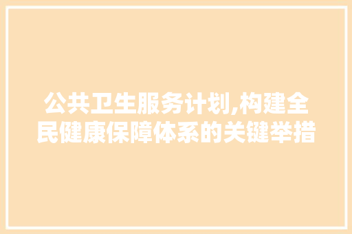 公共卫生服务计划,构建全民健康保障体系的关键举措