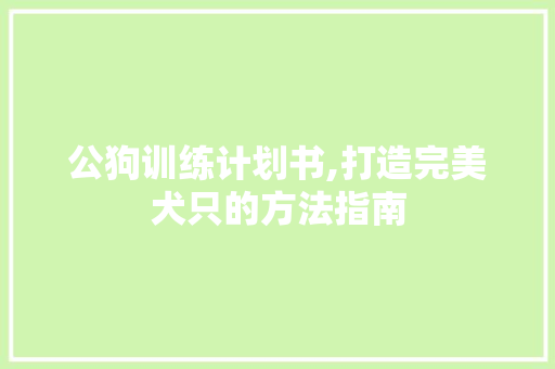 公狗训练计划书,打造完美犬只的方法指南