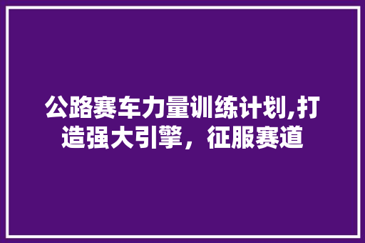 公路赛车力量训练计划,打造强大引擎，征服赛道