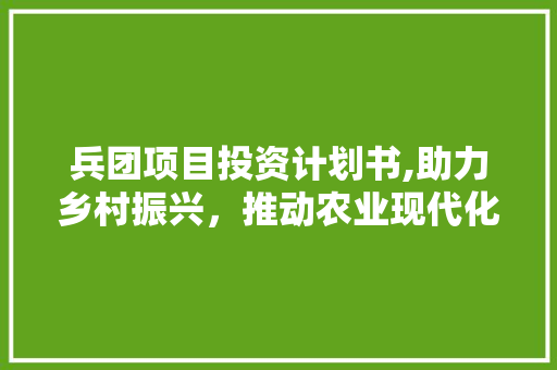 兵团项目投资计划书,助力乡村振兴，推动农业现代化发展