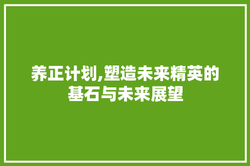 养正计划,塑造未来精英的基石与未来展望