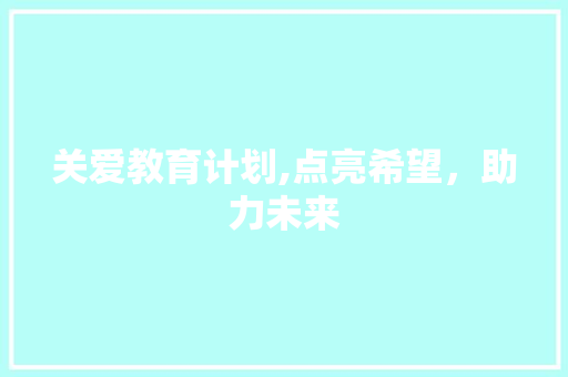 关爱教育计划,点亮希望，助力未来 工作总结范文