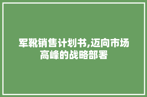 军靴销售计划书,迈向市场高峰的战略部署