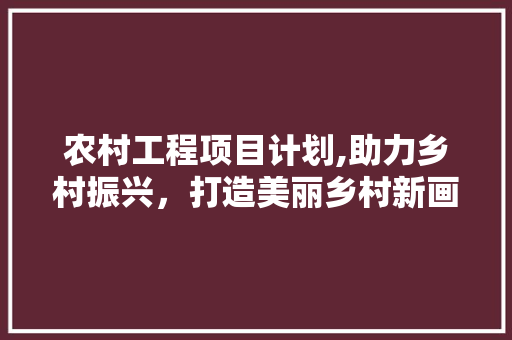 农村工程项目计划,助力乡村振兴，打造美丽乡村新画卷