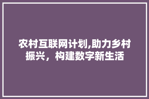 农村互联网计划,助力乡村振兴，构建数字新生活