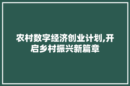 农村数字经济创业计划,开启乡村振兴新篇章