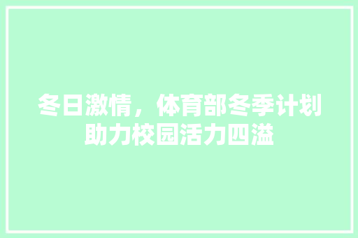 冬日激情，体育部冬季计划助力校园活力四溢