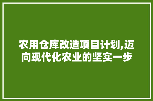 农用仓库改造项目计划,迈向现代化农业的坚实一步