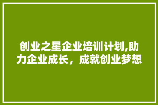 创业之星企业培训计划,助力企业成长，成就创业梦想