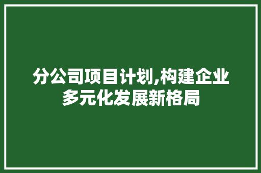 分公司项目计划,构建企业多元化发展新格局