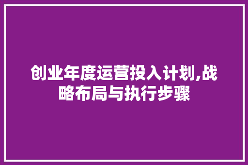 创业年度运营投入计划,战略布局与执行步骤