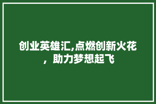 创业英雄汇,点燃创新火花，助力梦想起飞