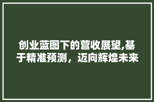 创业蓝图下的营收展望,基于精准预测，迈向辉煌未来