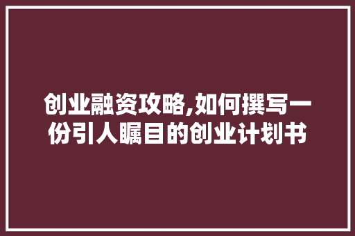 创业融资攻略,如何撰写一份引人瞩目的创业计划书