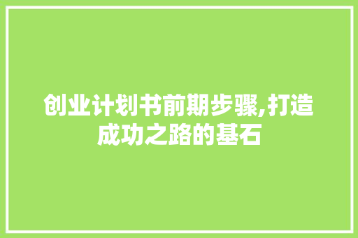 创业计划书前期步骤,打造成功之路的基石