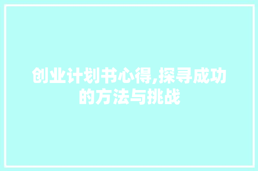 创业计划书心得,探寻成功的方法与挑战