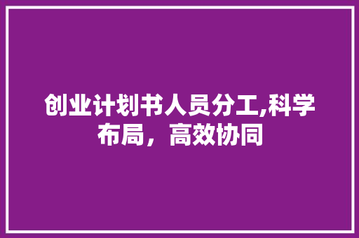 创业计划书人员分工,科学布局，高效协同