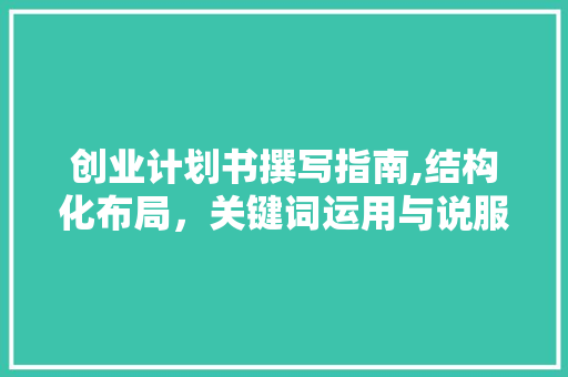 创业计划书撰写指南,结构化布局，关键词运用与说服力提升