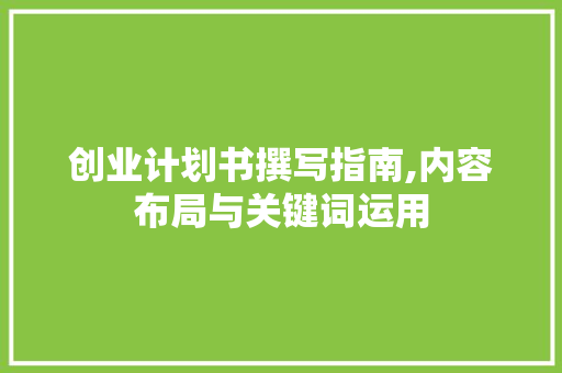 创业计划书撰写指南,内容布局与关键词运用