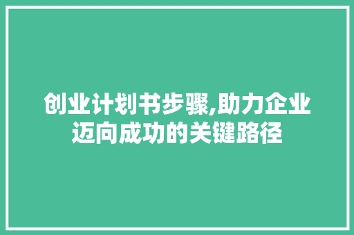 创业计划书步骤,助力企业迈向成功的关键路径