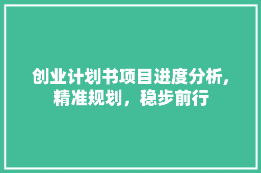 创业计划书项目进度分析,精准规划，稳步前行