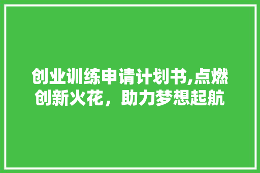 创业训练申请计划书,点燃创新火花，助力梦想起航