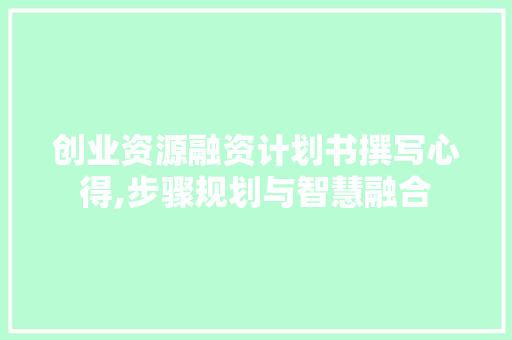 创业资源融资计划书撰写心得,步骤规划与智慧融合