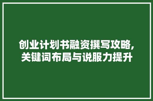 创业计划书融资撰写攻略,关键词布局与说服力提升