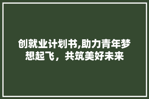 创就业计划书,助力青年梦想起飞，共筑美好未来