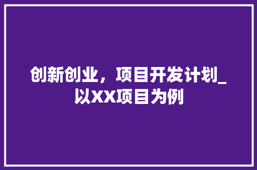 创新创业，项目开发计划_以XX项目为例