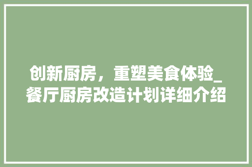 创新厨房，重塑美食体验_餐厅厨房改造计划详细介绍