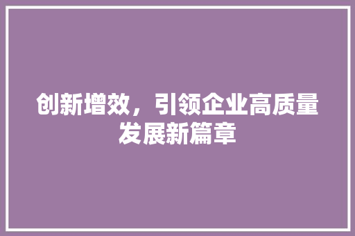 创新增效，引领企业高质量发展新篇章