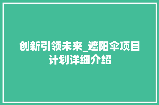 创新引领未来_遮阳伞项目计划详细介绍