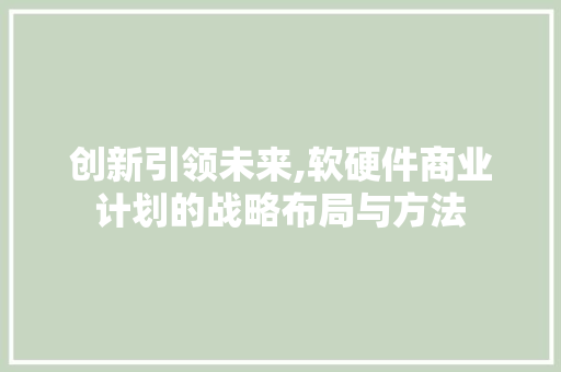 创新引领未来,软硬件商业计划的战略布局与方法