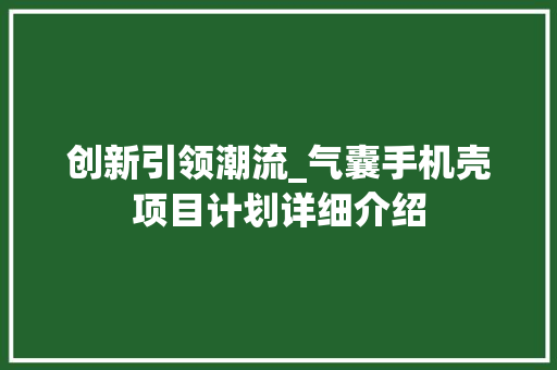 创新引领潮流_气囊手机壳项目计划详细介绍