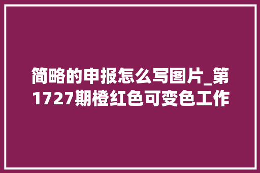 简略的申报怎么写图片_第1727期橙红色可变色工作总结申报PPT模板