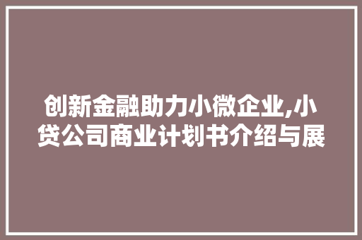 创新金融助力小微企业,小贷公司商业计划书介绍与展望