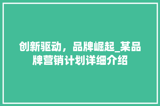 创新驱动，品牌崛起_某品牌营销计划详细介绍