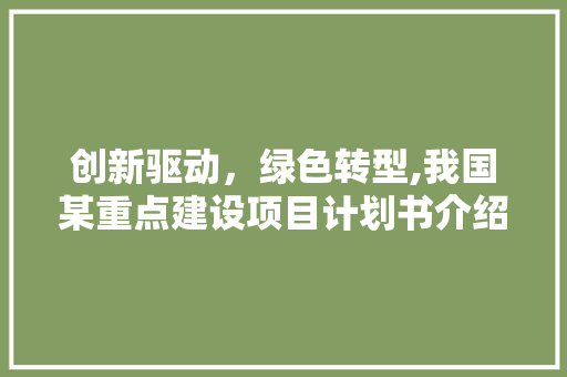 创新驱动，绿色转型,我国某重点建设项目计划书介绍