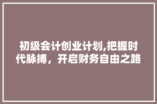 初级会计创业计划,把握时代脉搏，开启财务自由之路