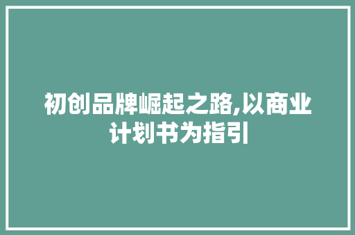 初创品牌崛起之路,以商业计划书为指引