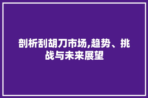 剖析刮胡刀市场,趋势、挑战与未来展望 会议纪要范文