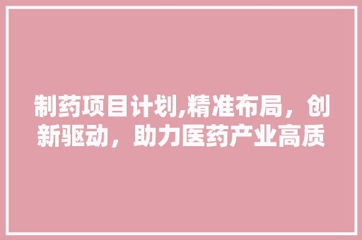 制药项目计划,精准布局，创新驱动，助力医药产业高质量发展