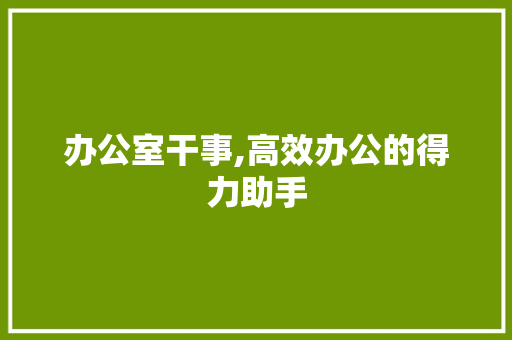 办公室干事,高效办公的得力助手