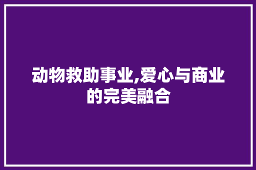 动物救助事业,爱心与商业的完美融合