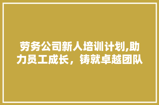 劳务公司新人培训计划,助力员工成长，铸就卓越团队